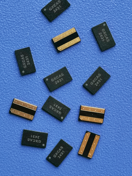 数字电子标签GX2431W